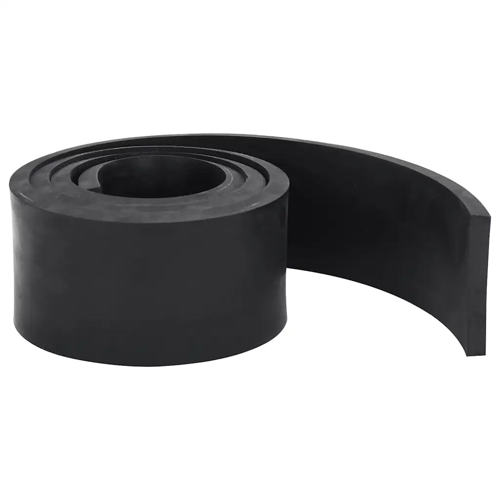 Bordo in Gomma per Spazzaneve Nero 200x8x1 cm 4103514