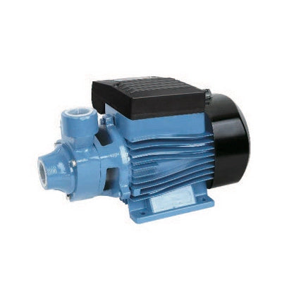 ELETTROPOMPA PERIFERICA MOD. QB- kw 0,75- CACHE- pezzi 1