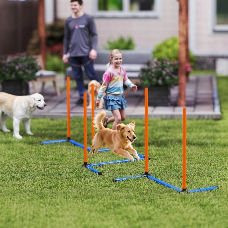 Set di agility per cani, equipaggiamento di agility in 3 pezzi con pali da slalom, borsa per il trasporto, set di allenamento per cani di tutte le