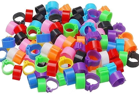 Anelli per uccelli - Identificazione - Materiale resistente in plastica - 200 pezzi - Anelli per polli - Per colombi e quaglie - Sicuri per uccelli