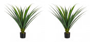 Set 2 Piante Artificiali Ruscaceae Altezza 90 cm in Plastica con Vasi Verde