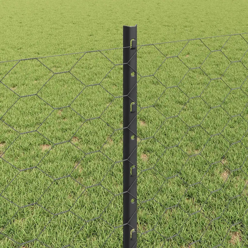 Recinzione da Giardino | Recinzione con Posto Grigio