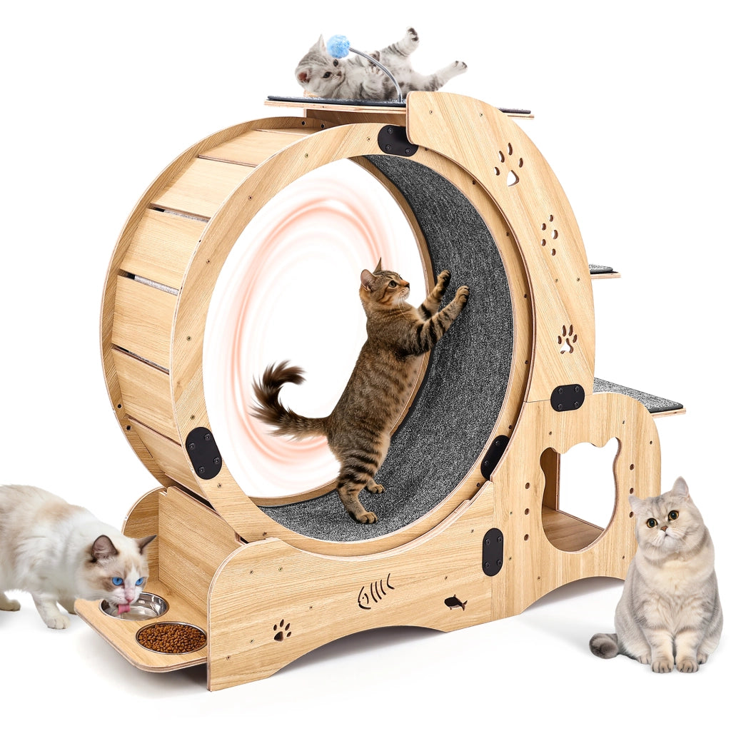 Ruota per gatti 6 in 1, ruota per esercizi per gatti, ruota per esercizi per gatti da interno migliorata, tapis roulant per gatti di grandi dimensioni