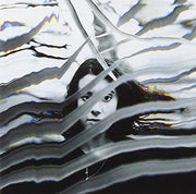 Album musicale Born In The Woods