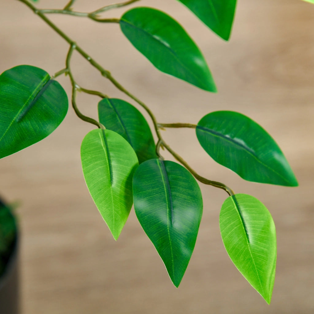 Pianta Ficus Artificiale ¨C zephmum ¨C Vaso Cemento 135 cm Verde