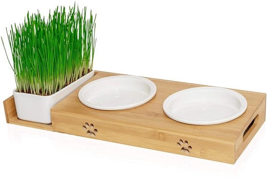 Piatto alimentare per gatti con erba per gatti - ceramica - accessori per gatti