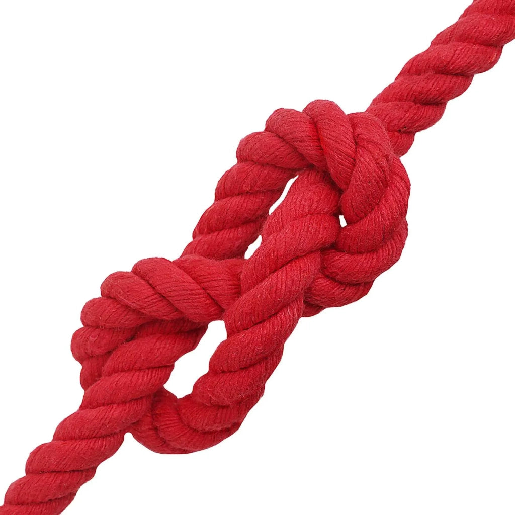 Corda Rosso 2 x 2 x 2500 cm Cotone 42011922