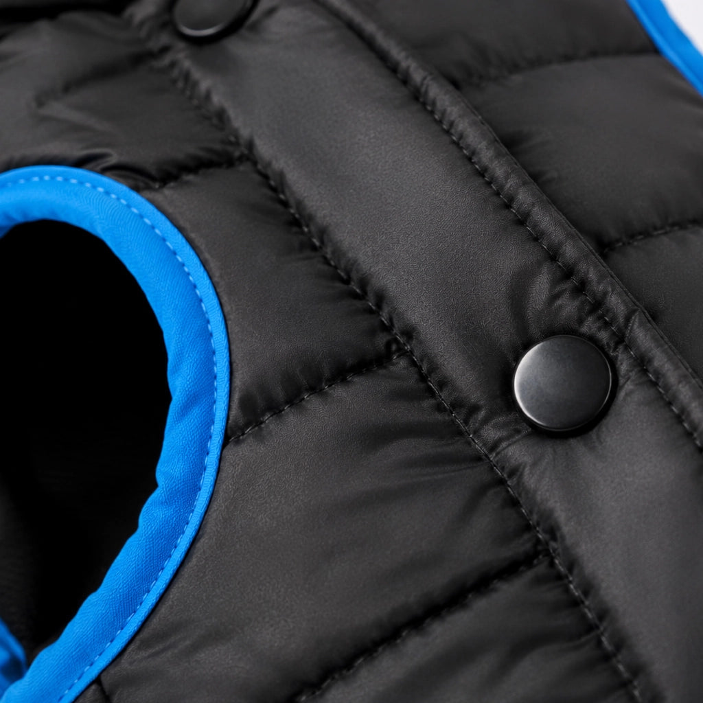Cappottino Imbottito per Cani con Collo Alto Antivento, Giubbotto Invernale Trapuntato con Chiusura a Bottoni, Giacca Calda e Leggera per Cani di Piccola, Media e Grande Taglia, Nero con Profili Blu  Nero - M