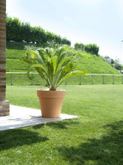 Vaso Standard One 140 Materiale: Polietilene, Colore: Moutard