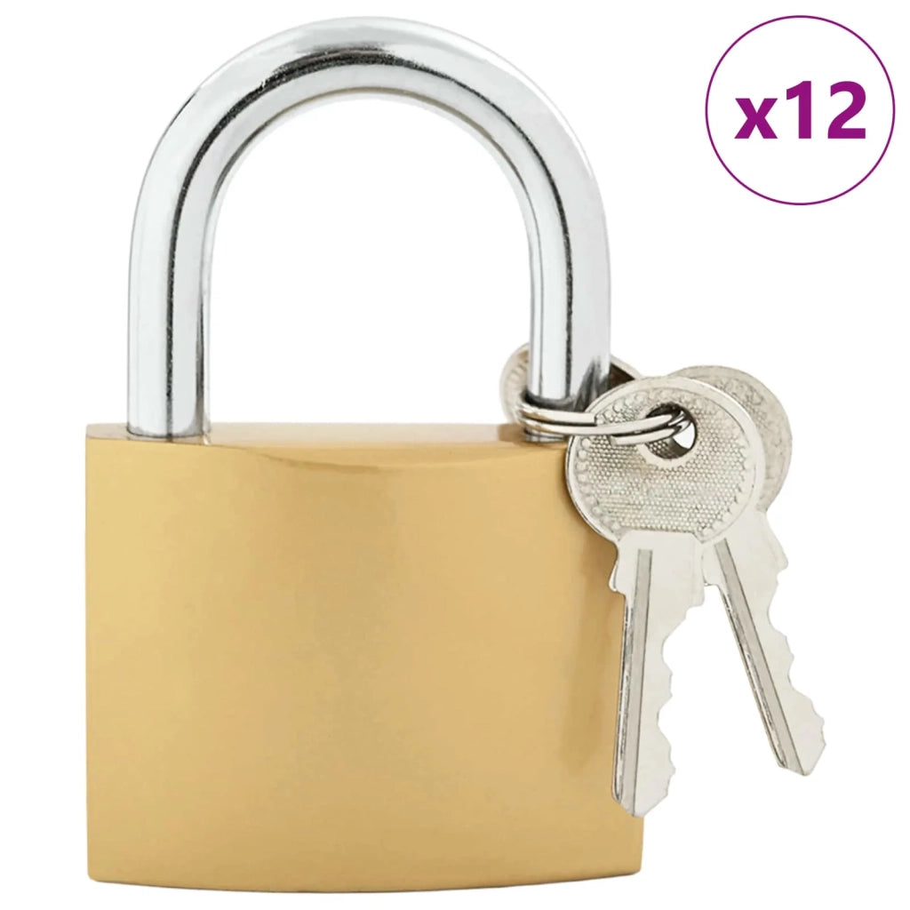 U Lock con Chiavi 12 pcs Ottone Ferro 42021940