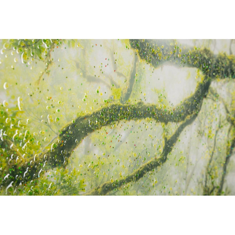 Stampa Su Tela Laccata Con Cornice Foresta cm 90x4x60