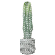 Pianta Artificiale Cactus ¨C Minimal ¨C Verde 66 cm