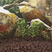 Rocce Vulcaniche 25 kg Rosse 3-5 cm 3217177
