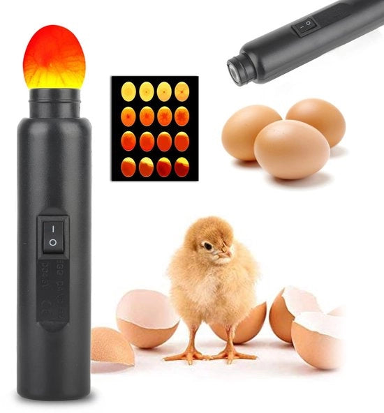 Apparecchio di controllo delle uova Sostenibile - Osservazione del processo di incubazione - Tester di uova LED - Tester di fertilità - Presa di corrente EU - Materiale ABS leggero