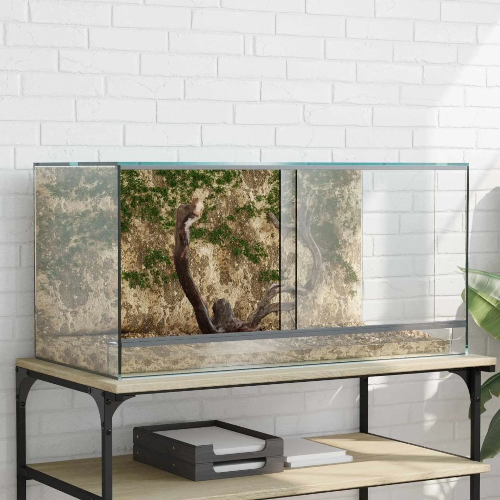 Terrario con archiviazione Trasparente 80 x 40 x 40 cm Vetro