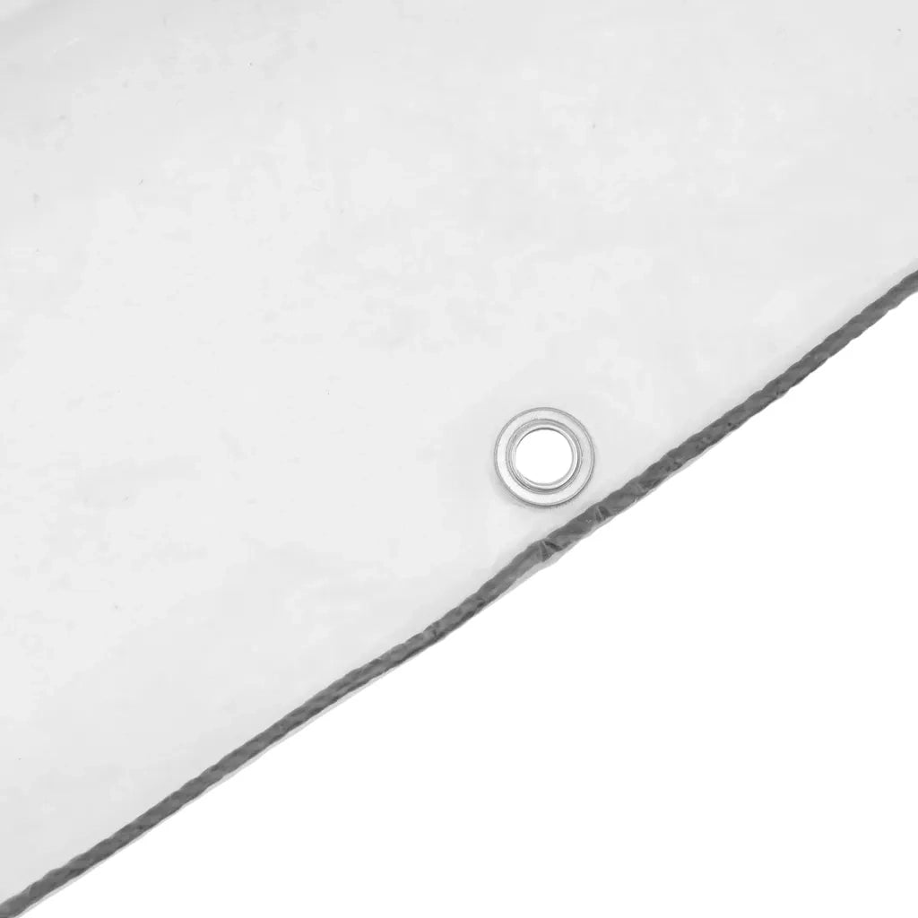 Telone Trasparente con Occhielli 8x12 m in Polietilene