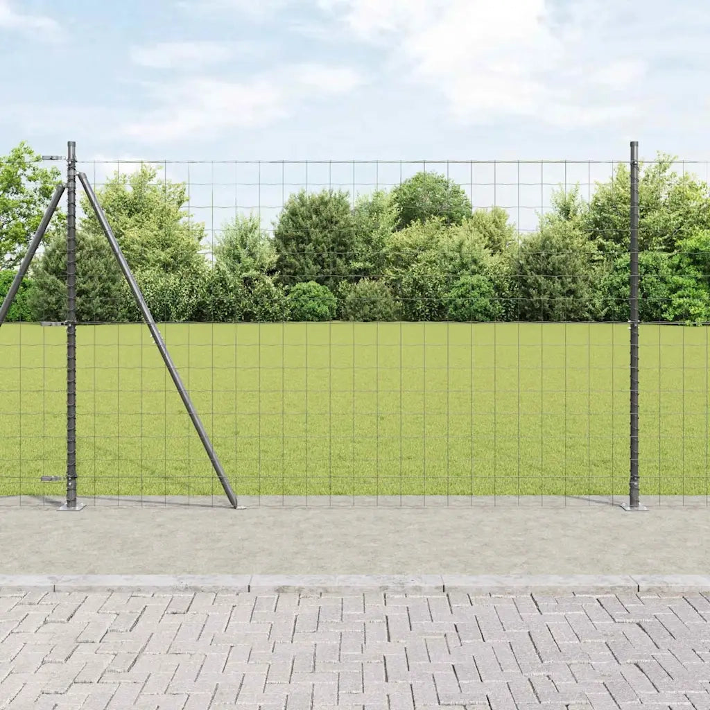 Recinzione da Giardino | Recinzione con Posto Grigio 1,6 x 10 m Acciaio e PVC