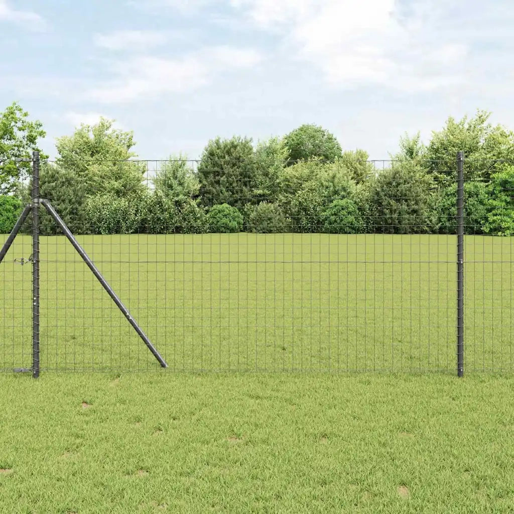 Recinzione Euro Grigio 1,2 x 25 m Ferro rivestito in PVC 42004518