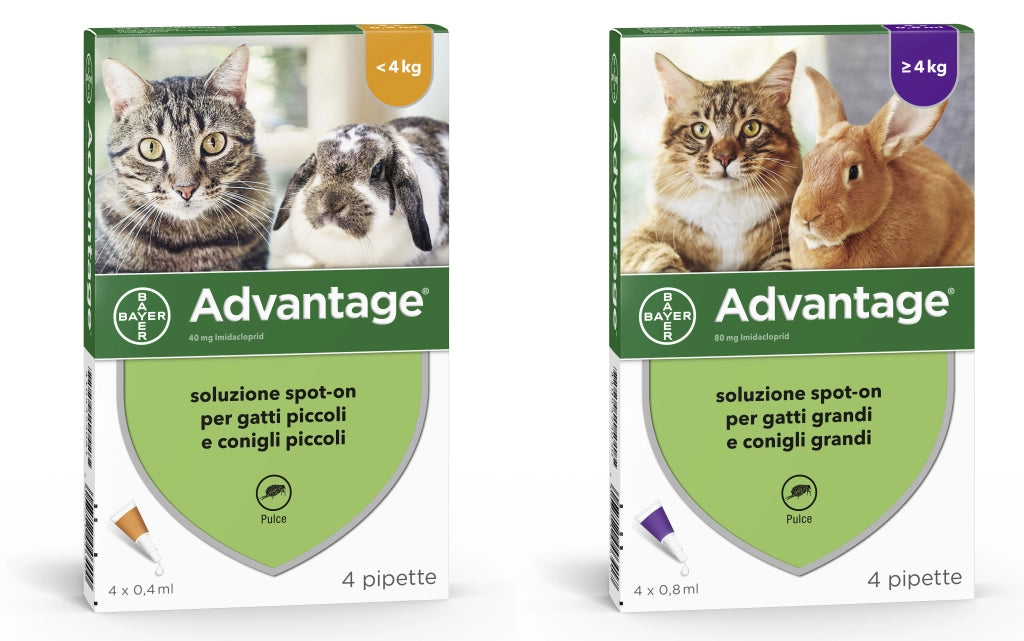 Bayer ANTIPARASSITARIO ADVANTAGE PER GATTI E CONIGLI inferiori a kg.  4 (4 pipette)