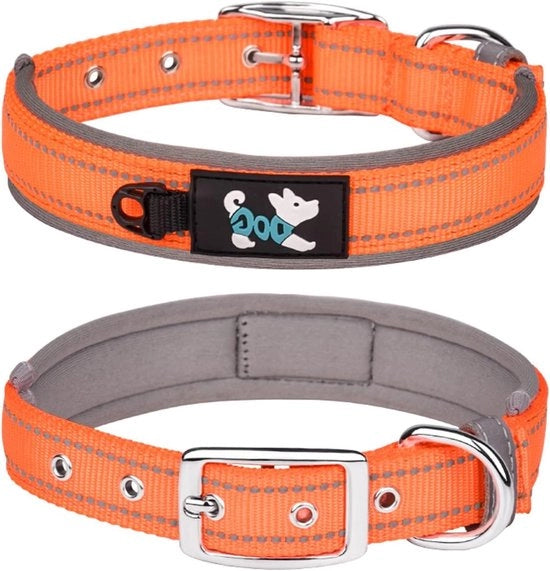 Cinturino comodo con cuscino in neoprene per cani di tutte le razze e grandi dimensioni (XL arancione-1) con strisce riflettenti e cinturino in nylon regolabile