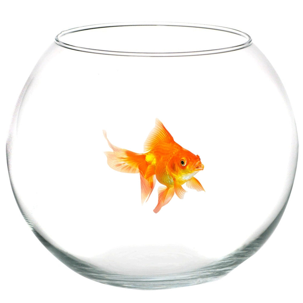 Trade Shop - Ampolla Boccia Per Pesci In Vetro 12 Cm Acquario Pesce Rosso Centrotavola -