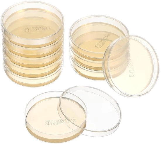 Piatte agar per coltura microbica 10 pezzi - Dimensioni 7x7 cm