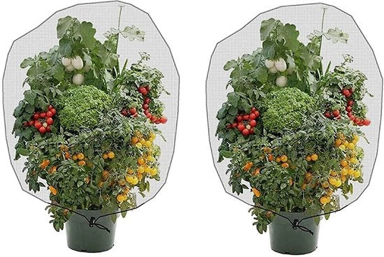 Reticolo per Insetti 2 pezzi - Barriera per Giardino Rete - Protezione da Insetti/Uccelli - Materiale PE - Dimensione 70 x 100 cm - Disegno con Corda di Trascinamento - Rete per Giardino