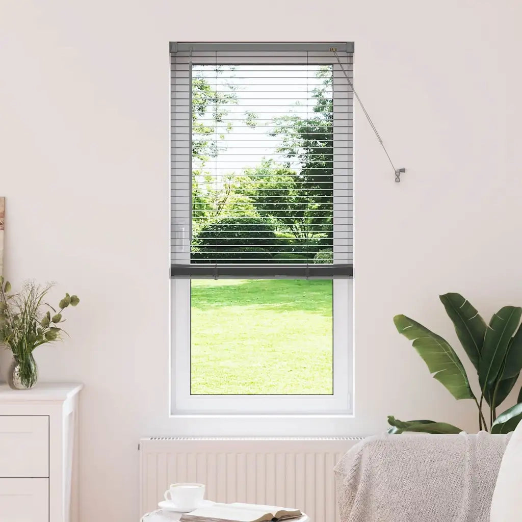 Tendaggi a Veneziana | Tenda a lamelle Grigio scuro 175 x 65 cm Alluminio
