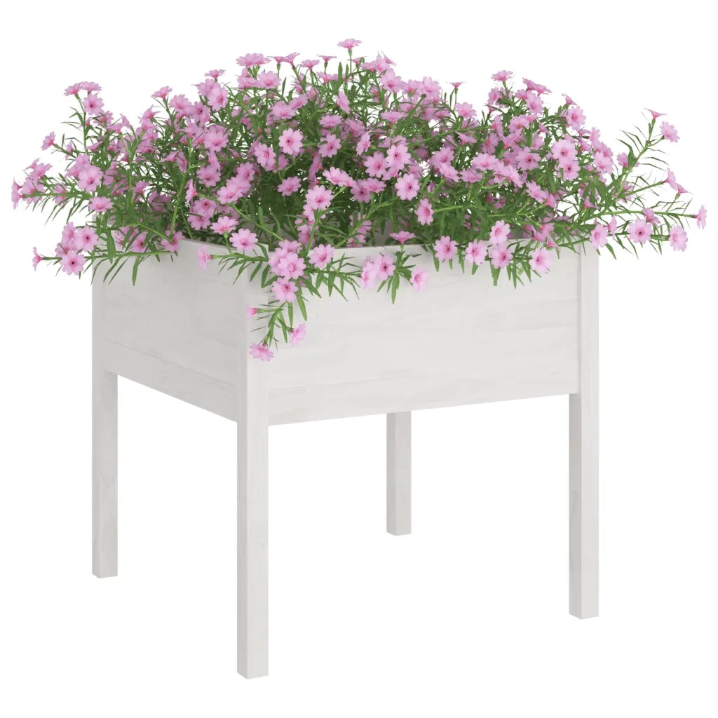 Fioriera | Cassetta per fiori | Vaso da Giardino Bianca 70x70x70 cm Legno Massello di Pino
