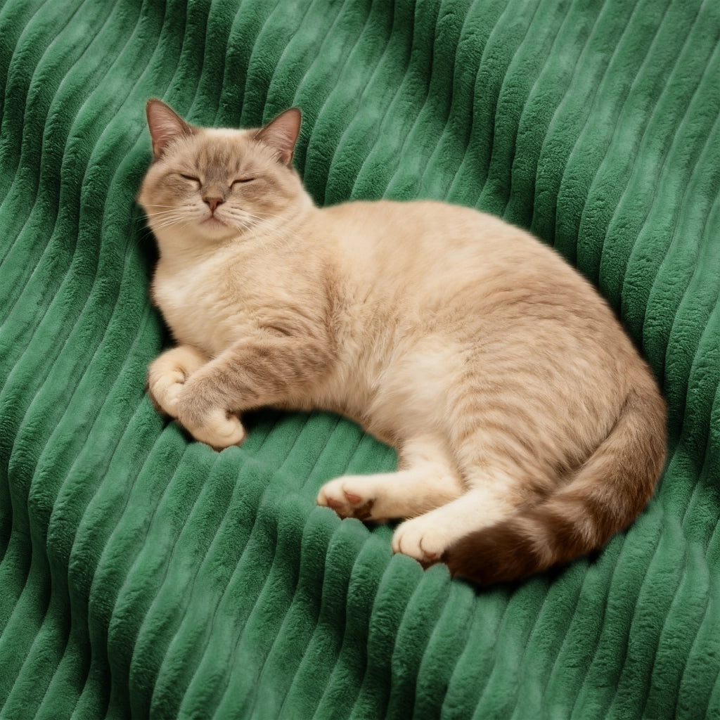 Divano Modulare Cloud 3 Posti con Ottoman ¨C MINIMAL ¨C Verde, Velluto a Coste, Angolare
