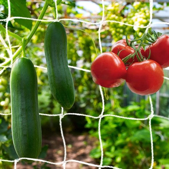 Rete di supporto per piante 10 x 1,67 m - Aiuto al clima - Rete per giardino - Materiale poliestere duraturo - Resistente alle intemperie - Alta resistenza al carico - Rete per clima