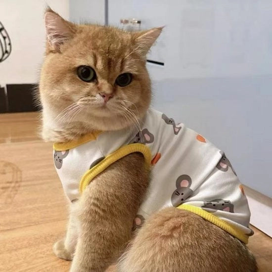 Abbigliamento con motivo di gatto, anti-verdigris, giacca spessa, XL (consigliato per gatti di 3,6-5,0 kg).