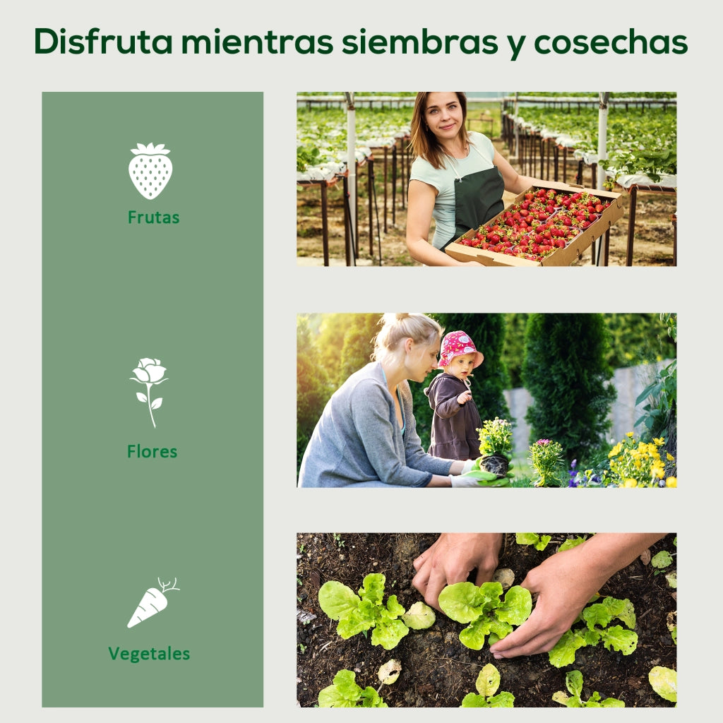 Serra da Giardino con Ruote e 4 Ripiani ¨C Zephmum ¨C Verde Trasparente 69x50x165cm
