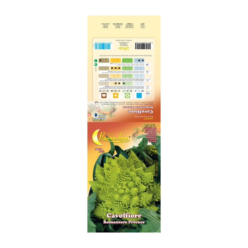 SEMI ORTO CAVOLFIORE ROMANESCO- 10,0 pz