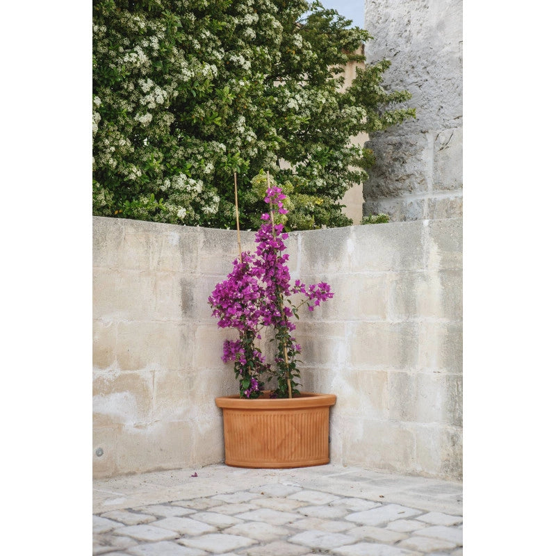 Vaso Fioriera angolare decorativa classica tradizionale 40x40 H34 in polimero resistente antracite per piante per giardini e terrazze - Made in Italy